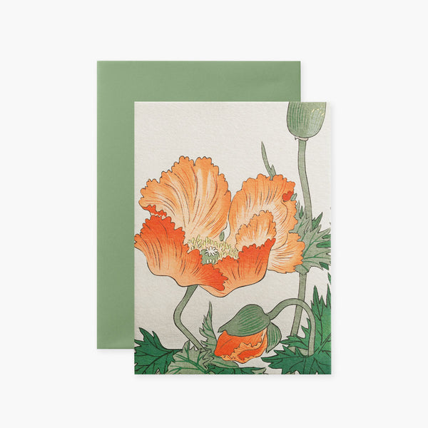 Greeting Card Koson IV – Poppy, Suska&Kabsch, stationery design