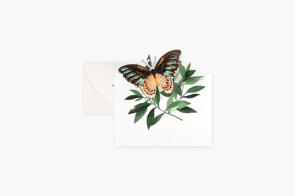 Pop-up Greeting Card – Butterfly on a Twig, UWP Luxe, stationery design