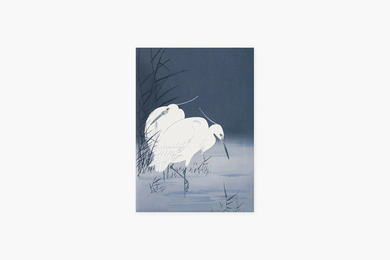 Lovebirds greeting card - herons, Suska & Kabsch, design stationery, home office