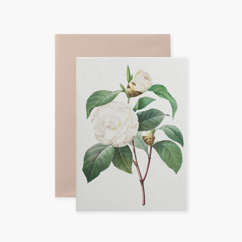 Greeting Card Big Flower II – White Camellia, Suska&Kabsch, stationery design