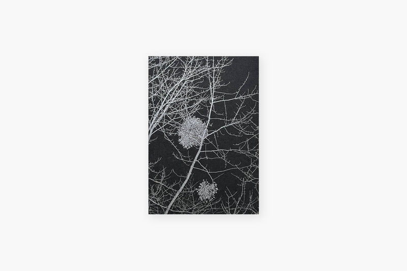 Notebook – Mistletoe, Curated Paper, stationery design