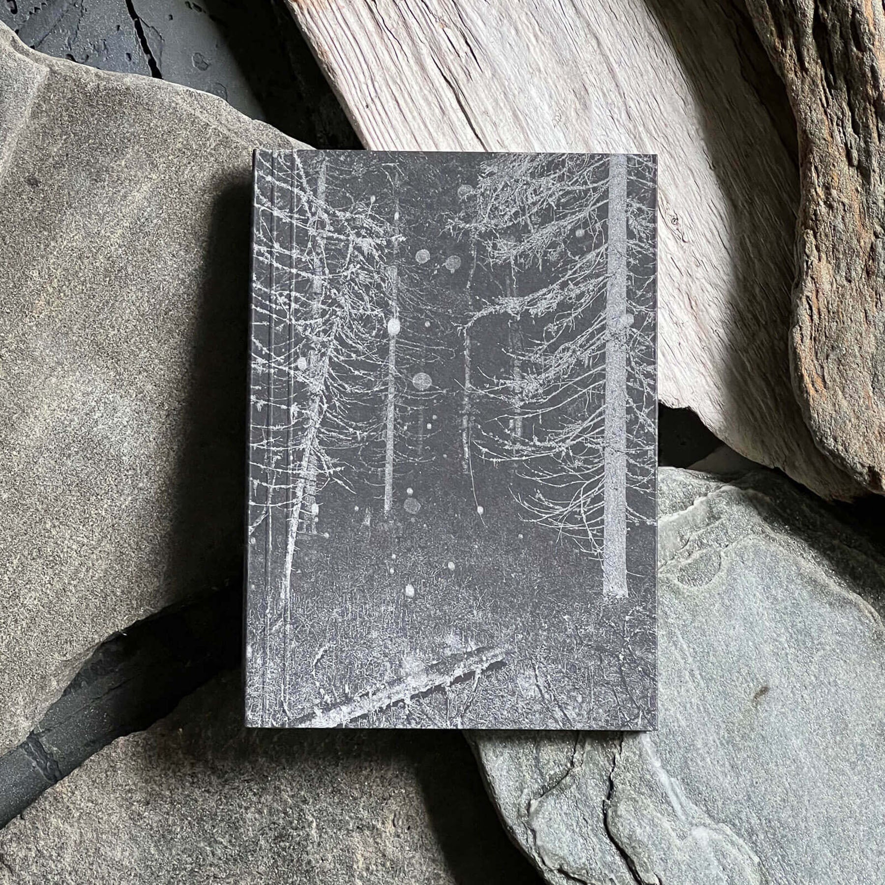 Notatnik – Las, Curated Paper. papierniczy design
