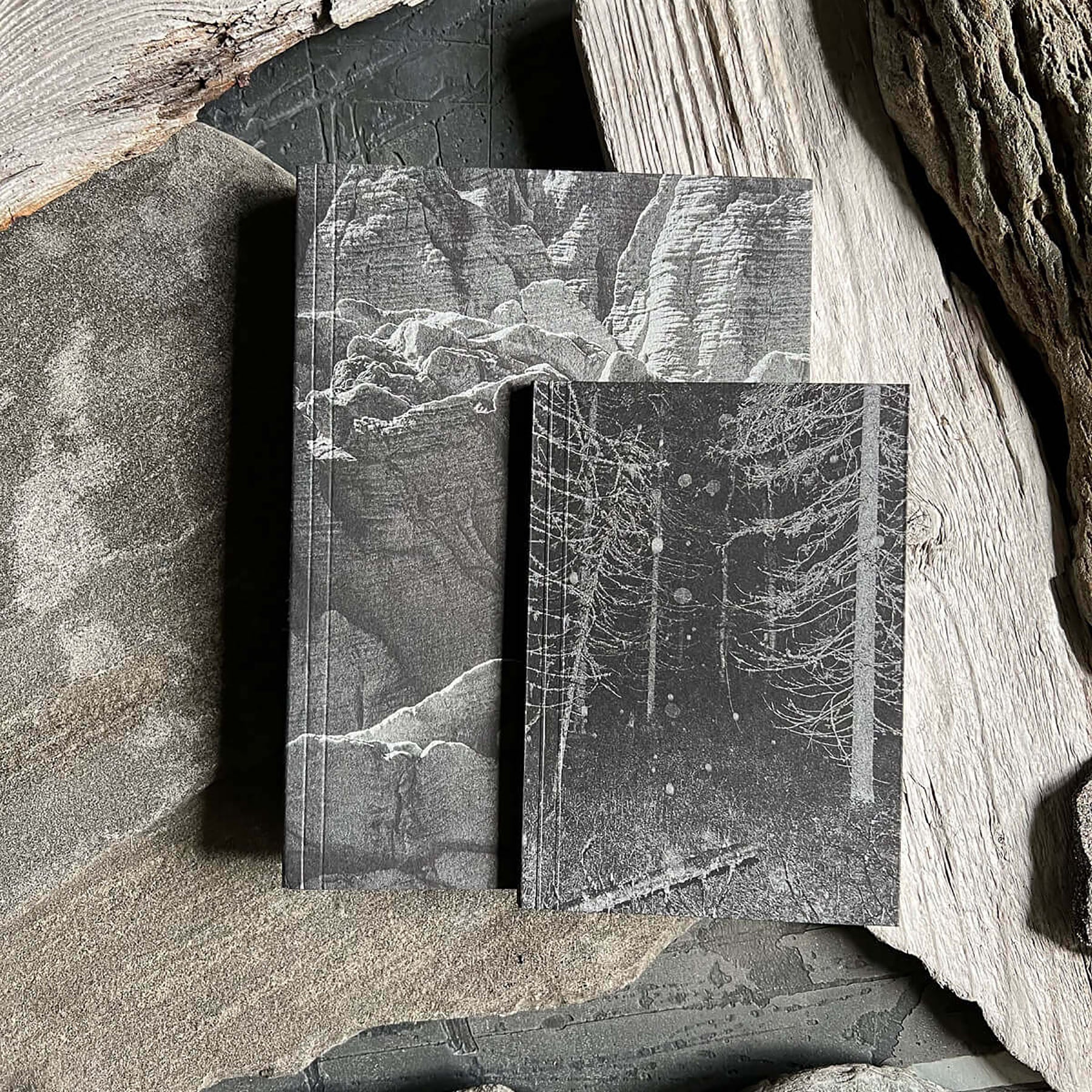 Notatnik – Las, Curated Paper. papierniczy design
