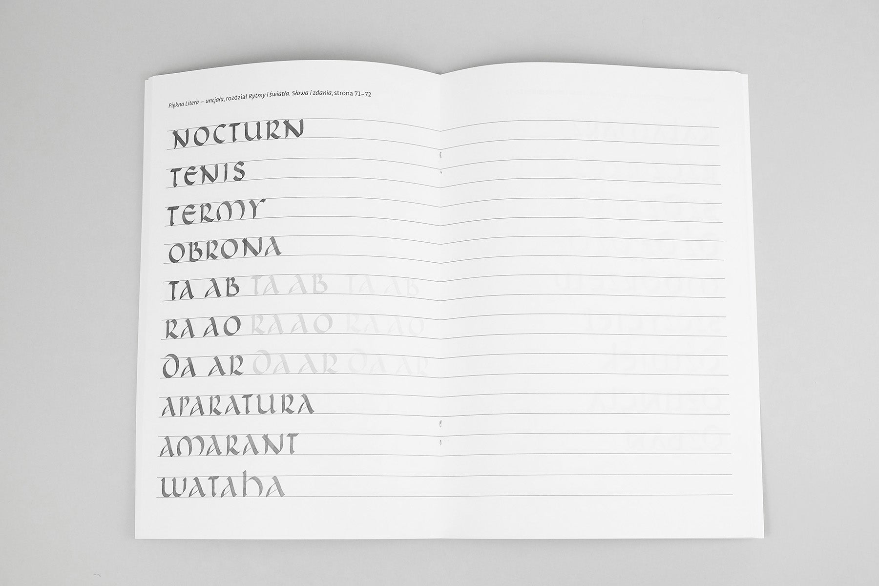 Piękna Litera - zeszyt ćwiczeń, podręcznik do kaligrafii, przybory do kaligrafii, papierniczeni, domowe biuro