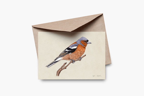 Greeting Card – Chaffinch, Tukan Media, stationery design
