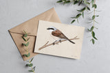 Greeting Card – Red-backed Shrike, Tukan Media, stationery design