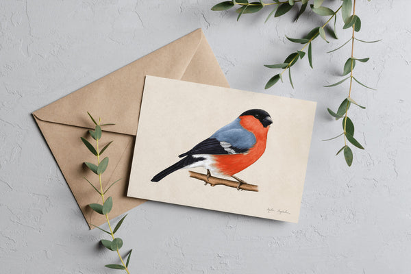 Greeting Card – Bullfinch, Tukan Media, stationery design