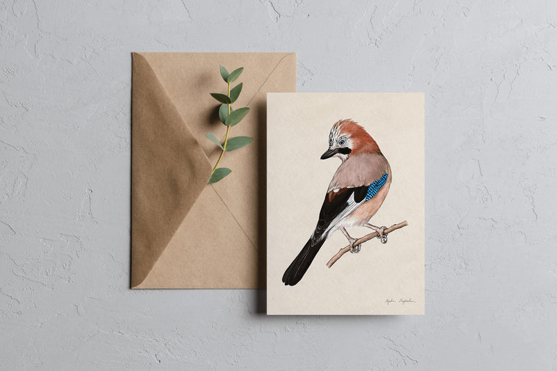 Greeting Card – Jay, Tukan Media, stationery design
