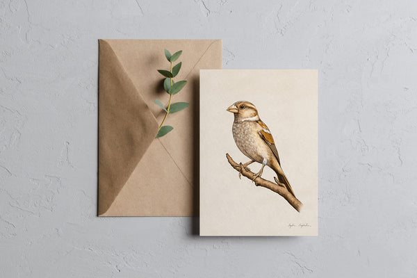 Greeting Card – Sparrow, Tukan Media, stationery design