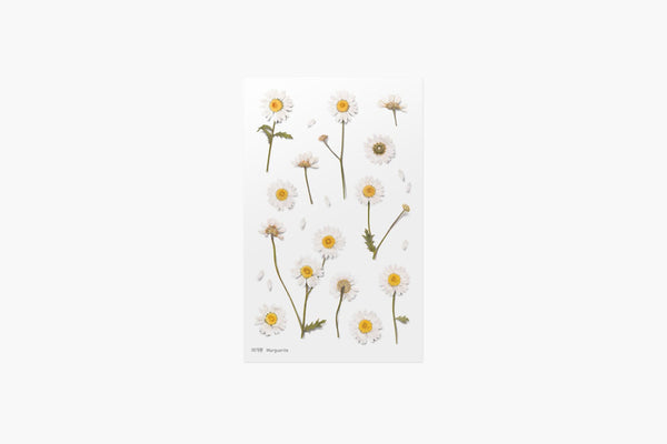Appree Bigleaf Hydrangea | Pressed Flower Sticker